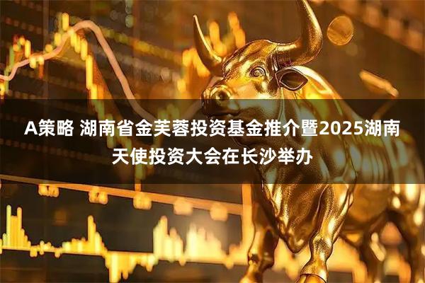 A策略 湖南省金芙蓉投资基金推介暨2025湖南天使投资大会在长沙举办