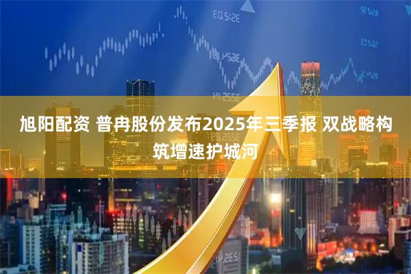 旭阳配资 普冉股份发布2025年三季报 双战略构筑增速护城河