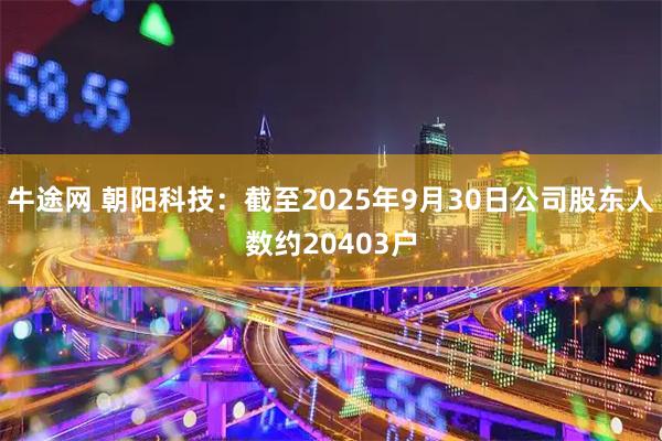 牛途网 朝阳科技：截至2025年9月30日公司股东人数约20403户