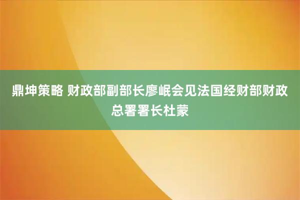 鼎坤策略 财政部副部长廖岷会见法国经财部财政总署署长杜蒙