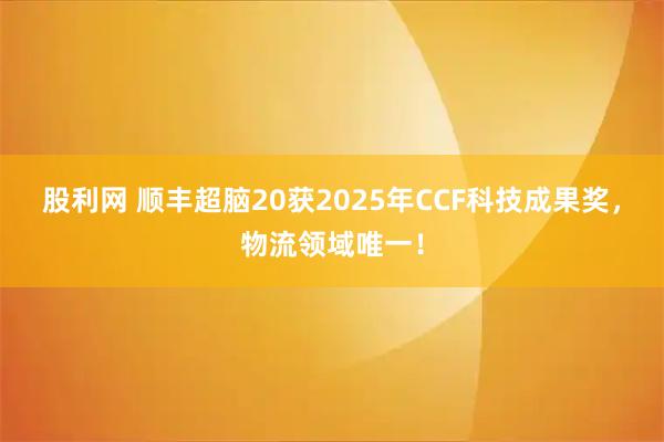 股利网 顺丰超脑20获2025年CCF科技成果奖，物流领域唯一！